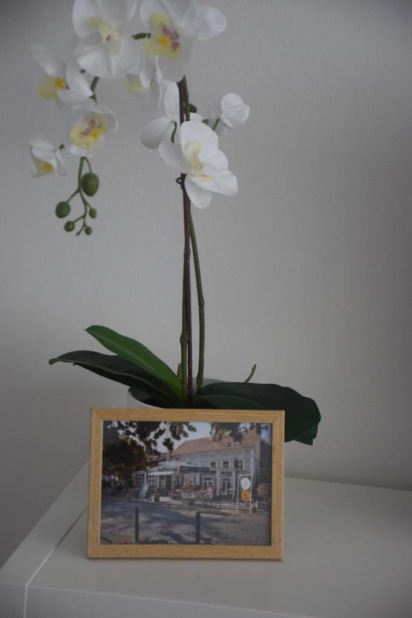 Feel Danube Apartment Zemun Exterior foto
